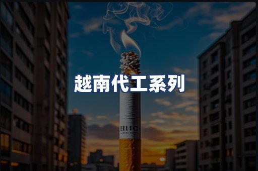 越南代工系列